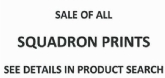 Click here to view SALE OF SQUADRON PRINTS