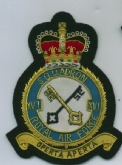 Click here to view 16 SQN OFFICIAL CREST GOLD WIRE BADGE