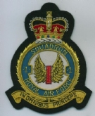 Click here to view 1 SQN CREST
