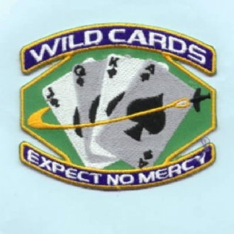 WILDCARDS EXPECT NO MERCY