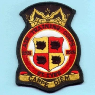 2331 ATC OFFICIAL CREST EMBROIDERED BADGE
