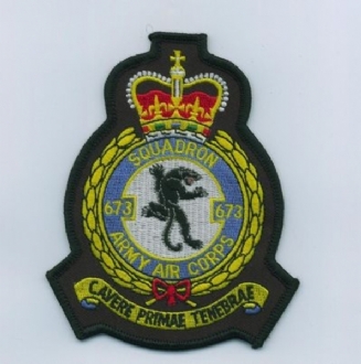 673 AAC OFFICIAL CREST EMBROIDERED BADGE