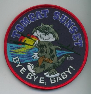 F-14 SUNSET BADGE