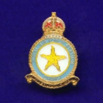 RAF CHANGI CREST (WITH KINGS CROWN) PIN BADGE