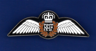 RAF PILOT WING (COLOUR) PIN