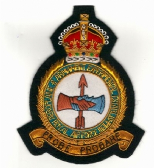 A&AEE GOLD WIRE BADGE