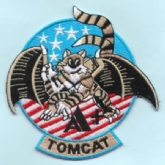 F-14 TOMCAT A+ (WINGED)