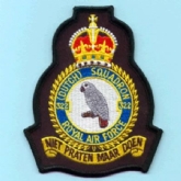 322 (DUTCH) SQN OFFICIAL CREST WITH KINGS CROWN EMBROIDERED BADGE