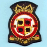 2331 ATC OFFICIAL CREST EMBROIDERED BADGE