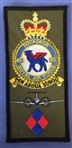 45 SQN FACS CREST BADGE