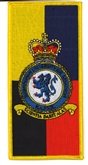 BIRMINGHAM UAS FAC BADGE