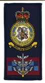 206 SQN CREST FACS BADGE