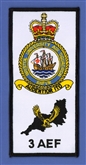 BRISTOL UAS / 3AEF FACS BADGE