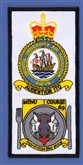 BRISTOL UAS 69 COURSE FACS BADGE