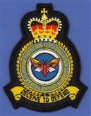 APPTES OFFICIAL CREST BADGE