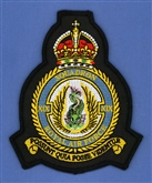 19 SQN CREST - TUDOR CROWN