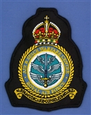 AIR & SPACE WARFARE CENTRE CREST - TUDOR CROWN