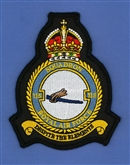 115 SQN CREST BADGE - TUDOR CROWN