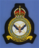 CENTRE OF AEROSPACE MEDICINE CREST BADGE - TUDOR CROWN