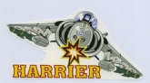 HARRIER - LETTS BELOW WHITE COFFEE MUG