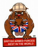 BRITISH FORCES - BEST IN WORLD WHITE COFFEE MUG