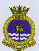854NAS CREST WHITE COFFEE MUG