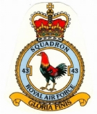 43 SQN CREST WHITE COFFEE MUG