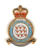 RED ARROWS CREST PIN (LARGE)