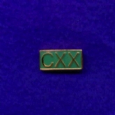 120 SQN PIN BADGE