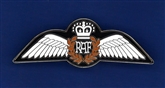 RAF PILOT WING (COLOUR) PIN