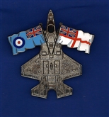 F35 FLAGS PIN BADGE