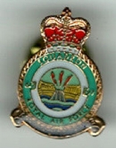 617 SQN CREST PIN BADGE