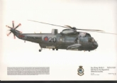 135 SEAKING HAS 5 SQN PRINT