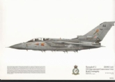 169 TORNADO F 2 SQN PRINT