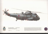 185 SEAKING HAS 5 SQN PRINT