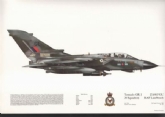 187 TORNADO GR 1SQN PRINT
