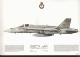 245 CF18A HORNET SQN PRINT