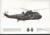 248 SEAKING HAS 5 SQN PRINT