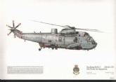 266 SEAKING HAS 5 SQN PRINT