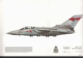 295 TORNADO F-3 SQN PRINT