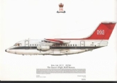 300 AE 146 CC 2 SQN PRINT