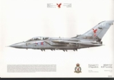 323  -  TORNADO F-3 SQN PRINT