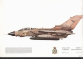 380 TORNADO GR-1 (GULF) SQN PRINT
