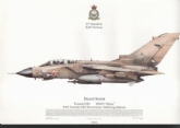 388  -  TORNADO GR-1 (GULF) SQN PRINT