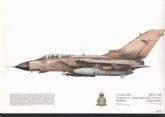381  -  TORNADO GR-1 SQN PRINT