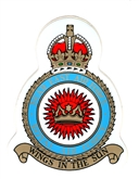 HQ NEAR EAST AIR FORCE CREST STICKER