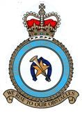 RAF COTTESMORE CREST STICKER
