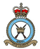 RAF REGIMENT CREST STICKER