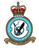 6 SQN CREST STICKER