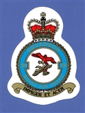 29 SQN CREST STICKER
